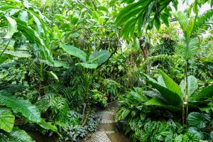 Julien SESIA - Julien-Sésia-Photographie©