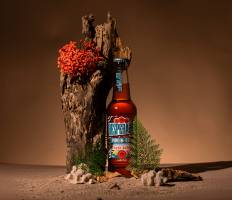 Lionel ROBERTIN - LIONELITO PICS